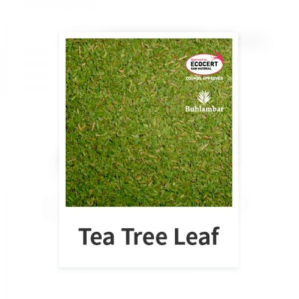 Tea Tree Leaf (Coarse)